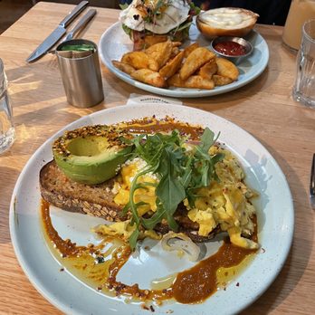 Bluestone Lane Harvard Square Café - Soft Chili Scramble w/ Avocado - Coffee & Tea Near Me - Cambridge, Massachusetts Bluestone Lane Harvard Square Café - Soft Chili Scramble w/ Avocado - Coffee & Tea Near Me - Cambridge, Massachusetts