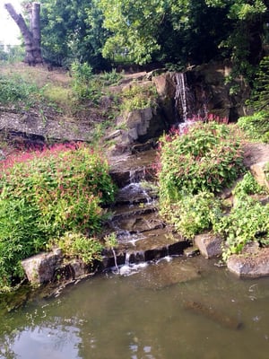 Crystal Palace Dinosaurs by null
