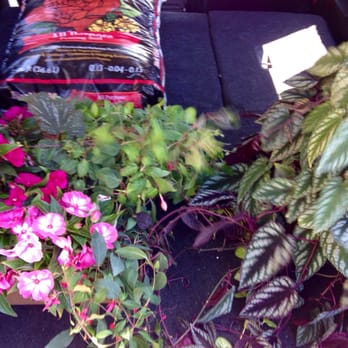 Kellner Greenhouses - Nurseries & Gardening Near Me - Milwaukee, Wisconsin