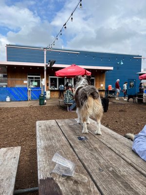 Yard Bar by null