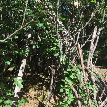 Eagle Rock Reservation - Parks Near Me - West Orange, New Jersey
