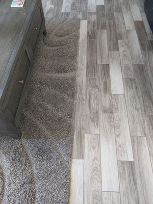 Area Rugs - We specialize in restoring your rugs! Try us out and make them come back to life.