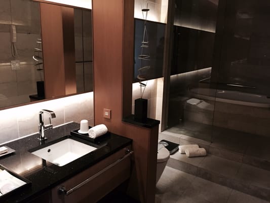 Hotel Nikko Kanazawa by null
