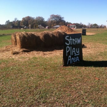 Chesterfield Berry Farm - Straw play - Farmers Market Near Me - Moseley, Virginia Chesterfield Berry Farm - Straw play - Farmers Market Near Me - Moseley, Virginia