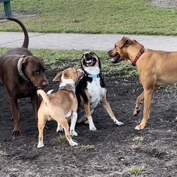 Shane Kelly Park - Dog Parks Near Me - Oviedo, Florida