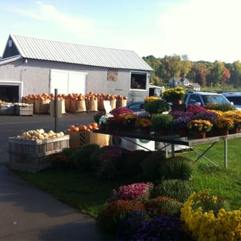 Dondero Orchards - In front of Farm Stand - Farmers Market Near Me - Glastonbury, Connecticut Dondero Orchards - In front of Farm Stand - Farmers Market Near Me - Glastonbury, Connecticut