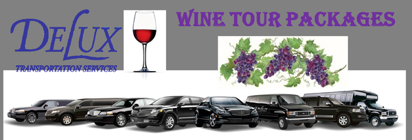 Delux Transportation Services 62 Main St Ste B Port Washington Ny