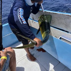 Don Chingon Charters