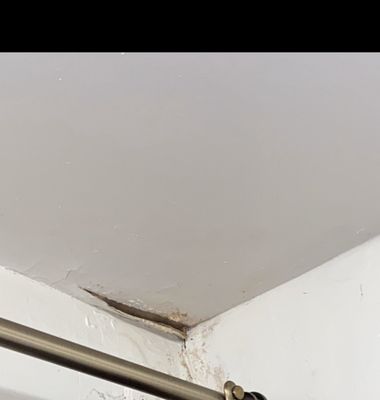 London Terrace by null