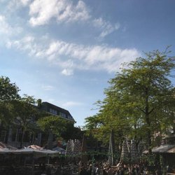 Albert Heijn