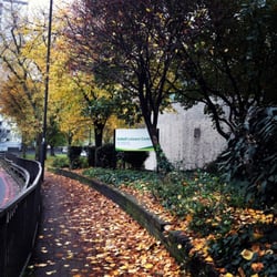 Sobell Leisure Centre - Fall colour outside the centre