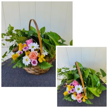 Lighthouse Flower Shop - Multiple plants with flowers - Florists Near Me - Mesa, Arizona