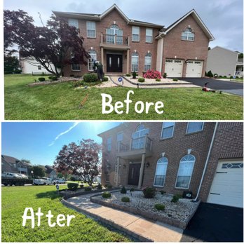 1 2 Tree Gone - Tree Services Near Me