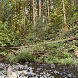 Gales Creek Campground - Gales creek