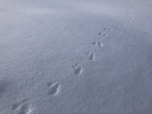 The Hole Hiking Experience by null