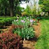 Potomac Farms Nursery gift card