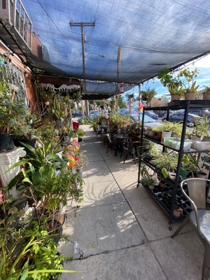 Zenaida's café by null