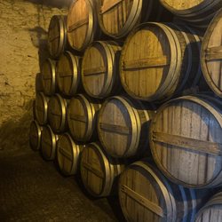 Quinta do Tedo - Oak barrels for tawnys