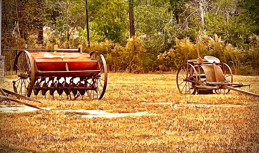 WAGON WHEEL KENNELS Request Information Nichols, SC Yelp