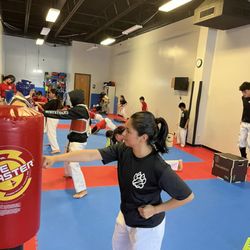 Noel's White Tigers Taekwondo