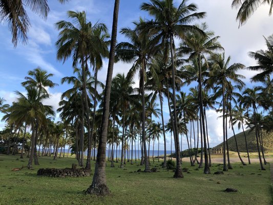 Easter Island by null