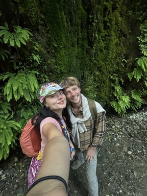 Fern Canyon by null