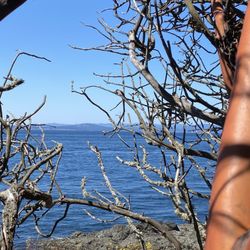 Lime Kiln Point State Park