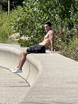 North Avenue Beach by null