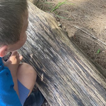 Wolf Lake Park - Exploring the butterfly cycle - Parks Near Me - Davie, Florida