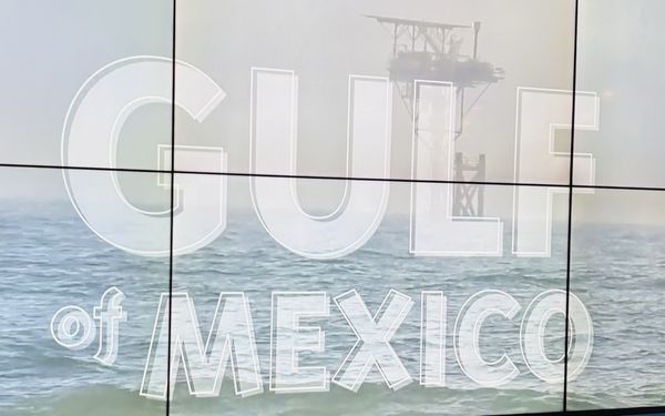 Texas State Aquarium by null