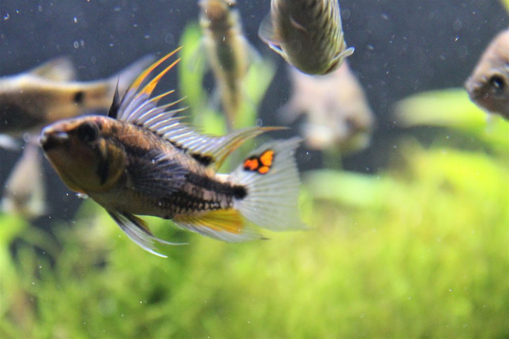 UNDERWATER DEPOT Updated August 2024 109 Photos & 184 Reviews 13708 Ventura Blvd, Sherman