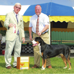 JB Dog Handling and Training