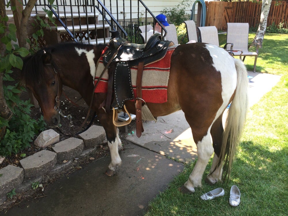 PONY HAVEN Updated July 2024 400 N 1000th E, West Bountiful, Utah