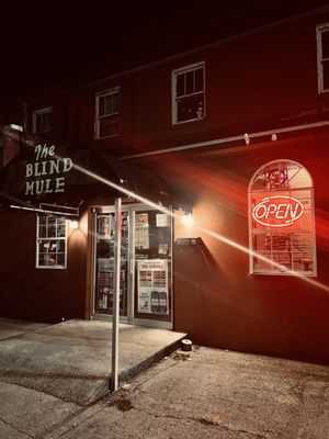 The Blind Mule by null