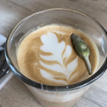 Shorehouse Kitchen - Lavender latte - tasty but not hot enough - Breakfast & Brunch Near Me - Carlsbad, California Shorehouse Kitchen - Lavender latte - tasty but not hot enough - Breakfast & Brunch Near Me - Carlsbad, California