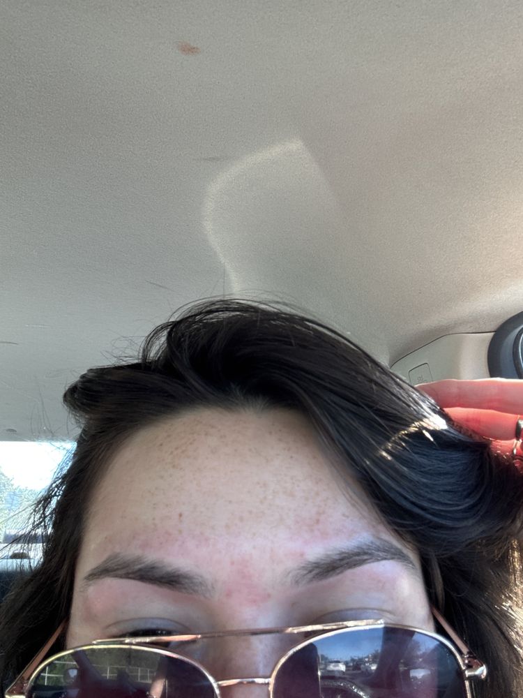 Brow Artist Eyebrow Threading Logo