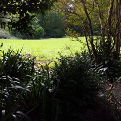 Taitua Arboretum - Outdoors