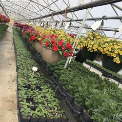 Anna's Greenhouse