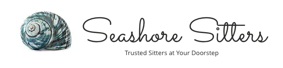 Seashore Sitters - childcare center in Saint Petersburg, FL