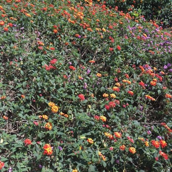 Fox Hills Park - Parks Near Me - Culver City, California Fox Hills Park - Parks Near Me - Culver City, California