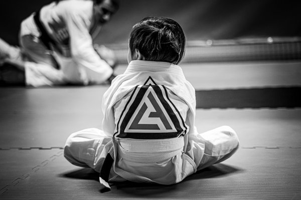 Living Art Brazilian Jiu Jitsu gym photo