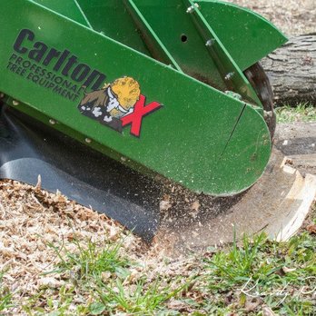 Maple Springs Tree Service - We utilize remote-controlled stump grinding and a variety of other equipment to complete your tree service or tree removal safely. - Tree Services Near Me Maple Springs Tree Service - We utilize remote-controlled stump grinding and a variety of other equipment to complete your tree service or tree removal safely. - Tree Services Near Me