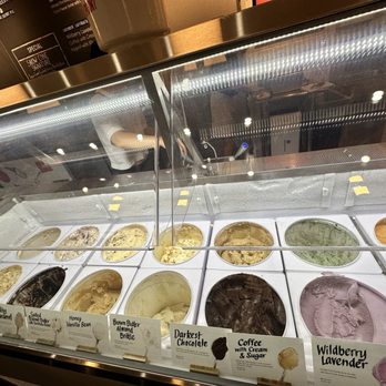 Jeni's Splendid Ice Creams - Just a small pic of some of their options - Ice Cream & Frozen Yogurt Near Me - Charlotte, North Carolina