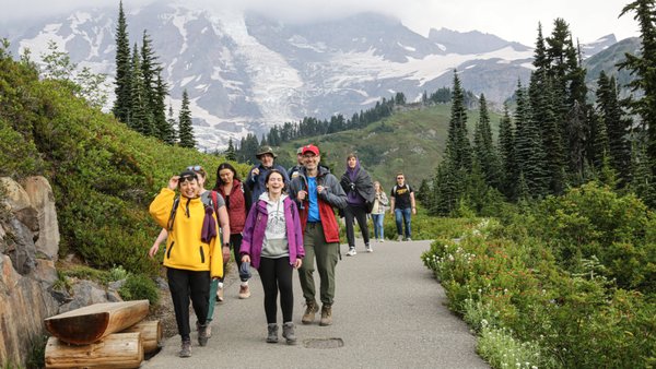 Paradise Inn by null