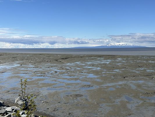 Alaska Pablo's Bicycle Rentals& Tours by null