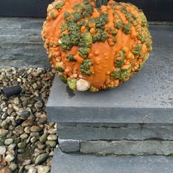 Lamberts Garden Center