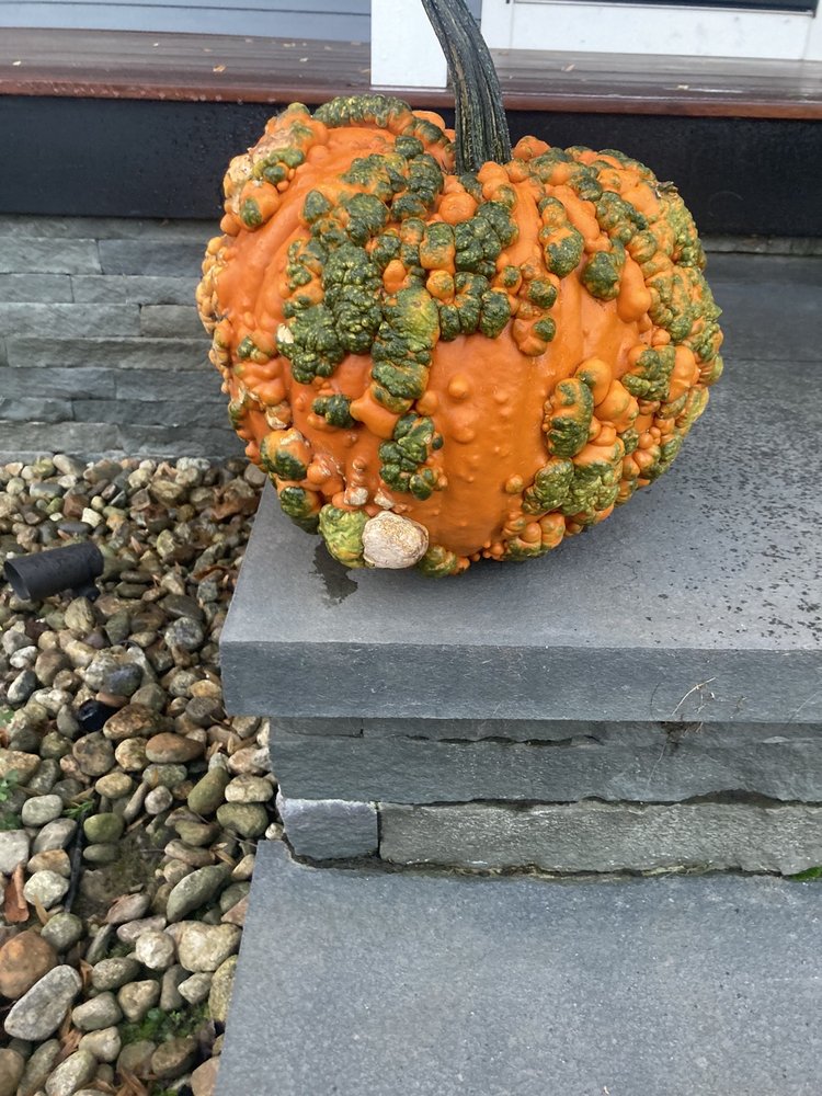 LAMBERTS GARDEN CENTER Updated October 2024 1 Cape Rd, Mendon