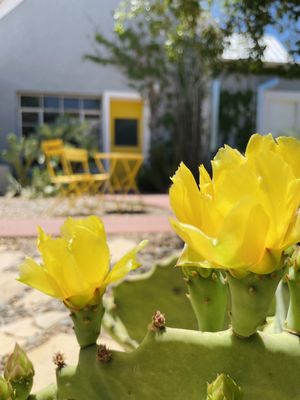 The Lincoln Marfa by null