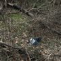 Photo of Manson Pike Trailhead