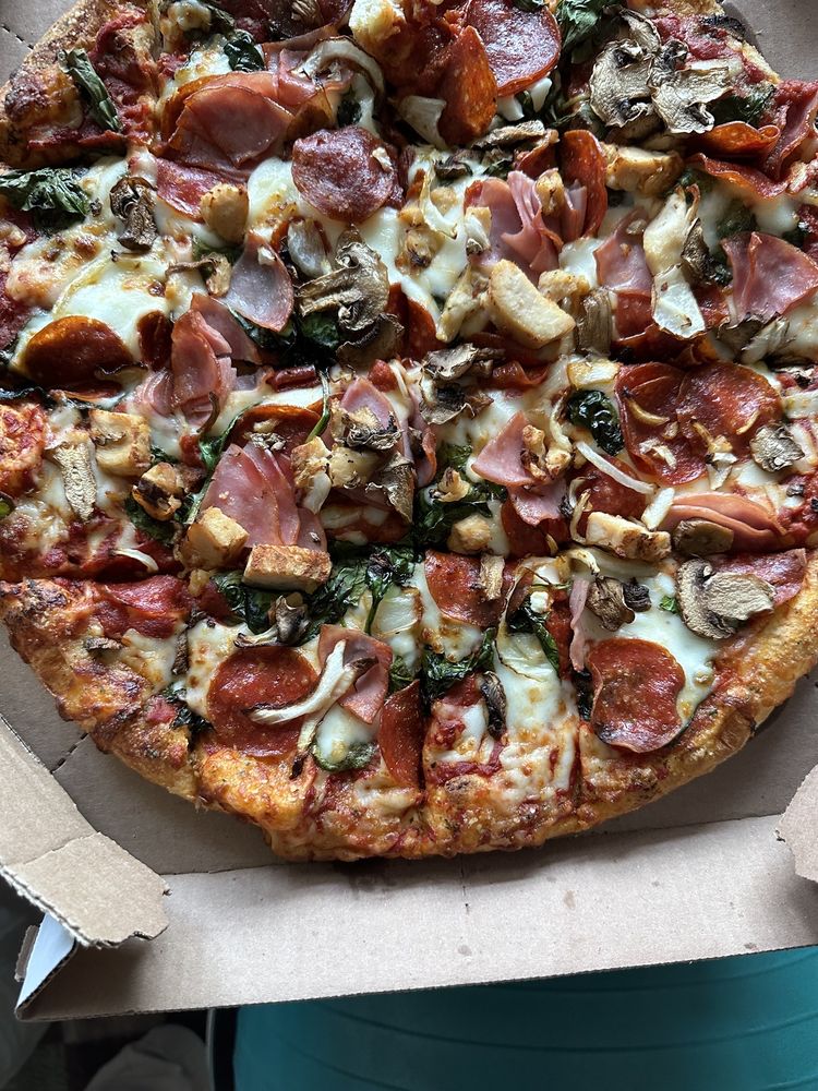 Domino's Pizza Logo